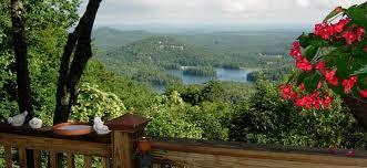 View of trees and water