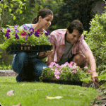 People planting flowers